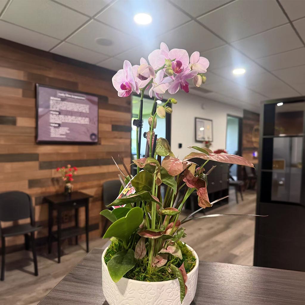 Lucky Flow Acupuncture in Northville